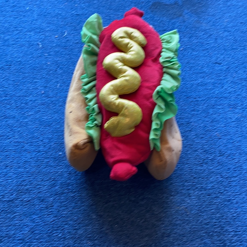 Hot dog costume for dog. Great condition.